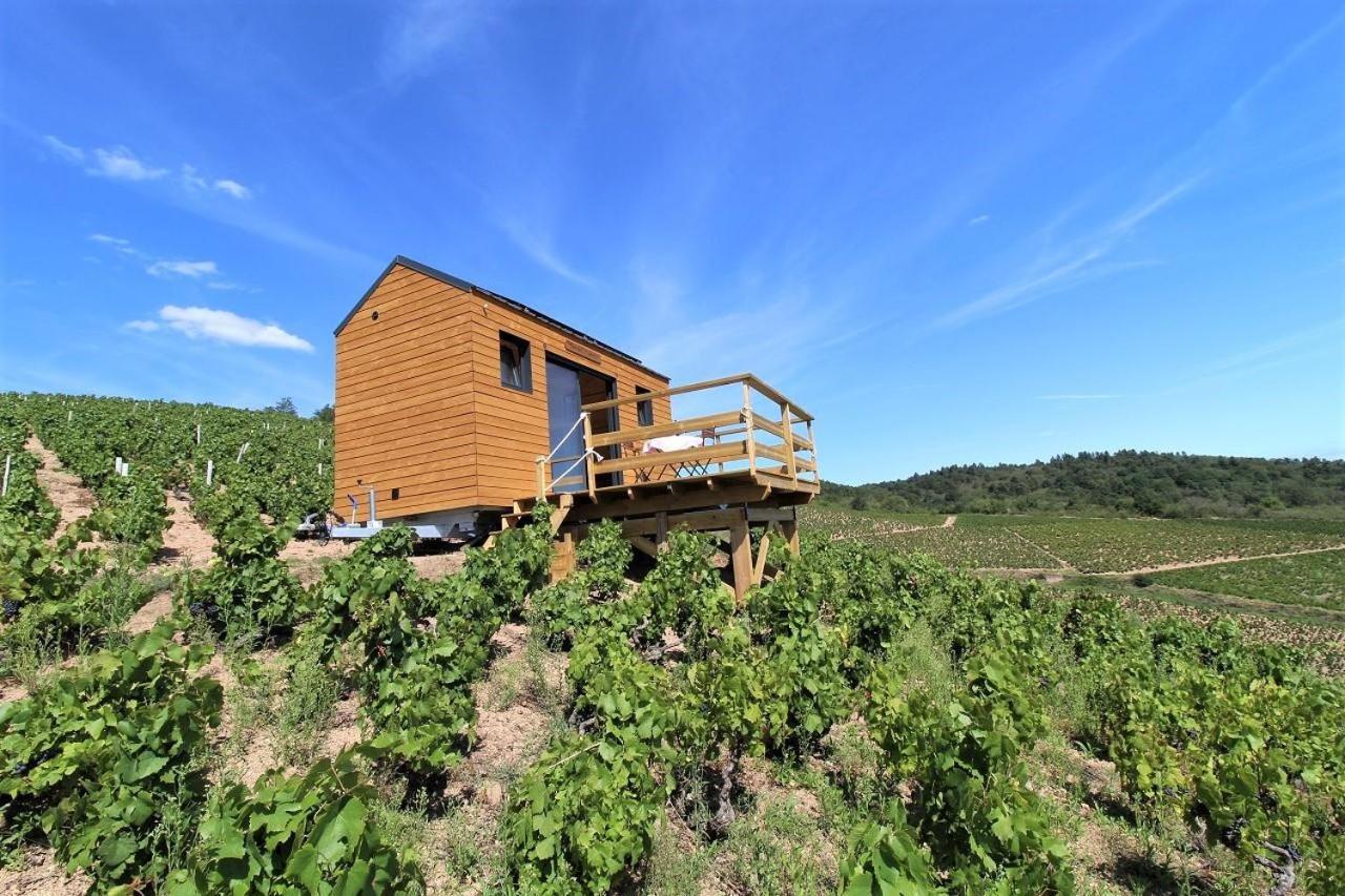 Tiny House Au Coeur Du Vignoble Beaujolais Hotel Fleurie Exterior photo